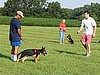 Dr Eric Serrano estatedogs
